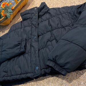 Hollister Cropped Puffer Collection Black Puffy Jacket Coat XS